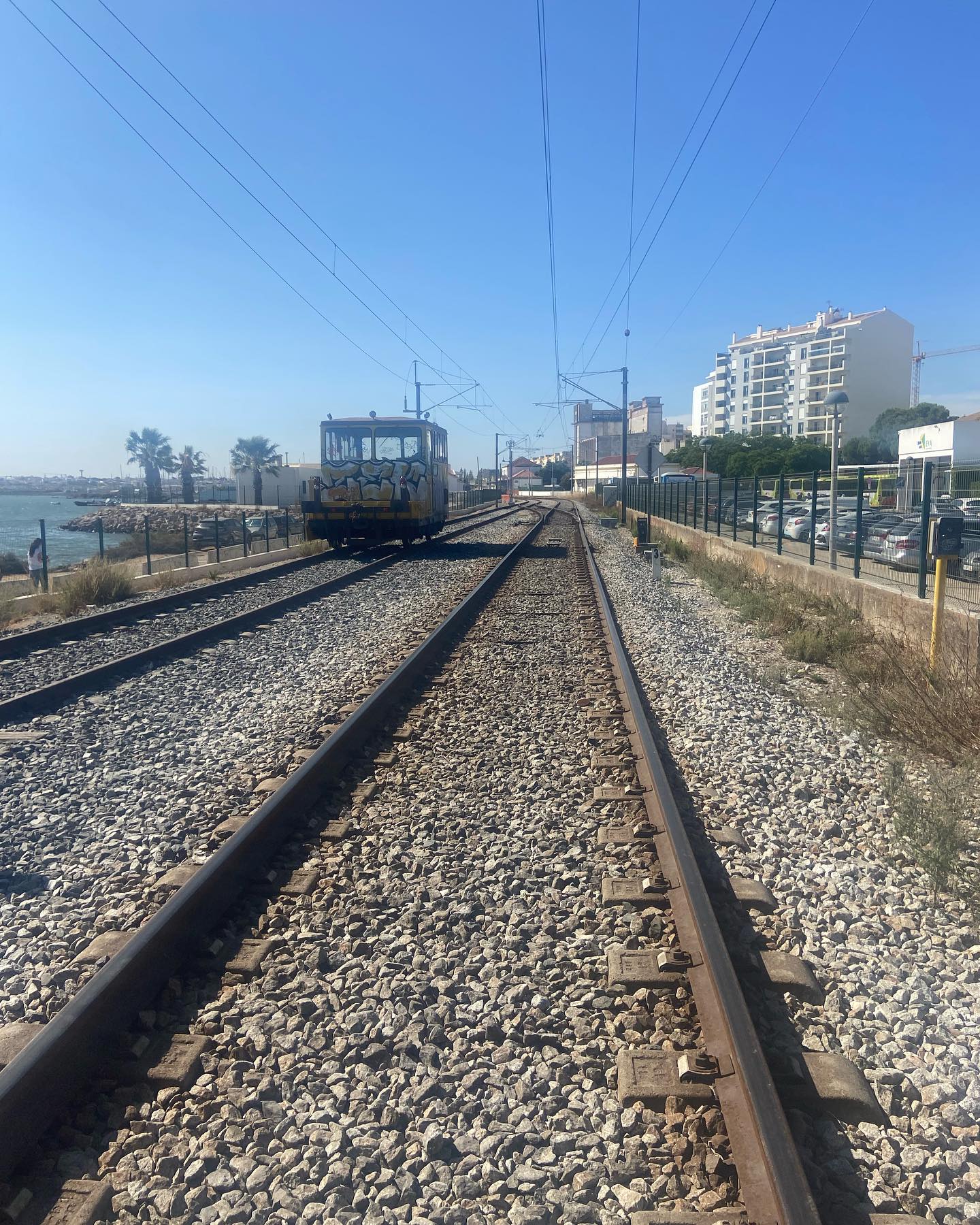 shanikaneko instagram image archive image