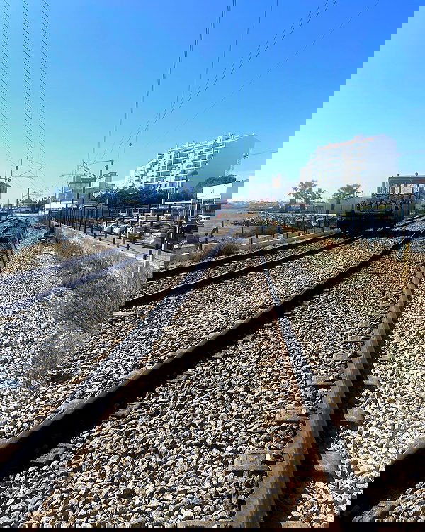 shanikaneko image ~ Altpins