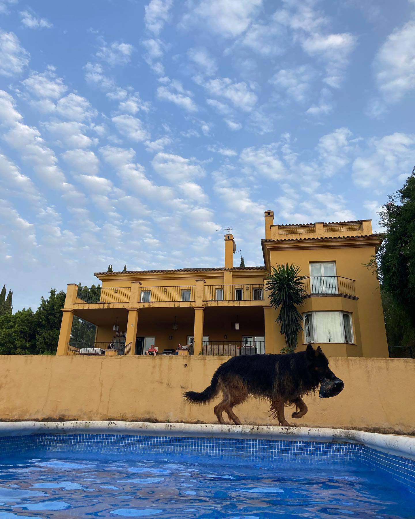 shanikaneko instagram image archive image