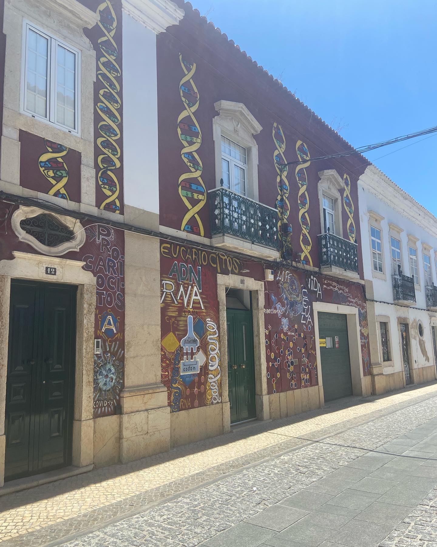 shanikaneko instagram image archive image