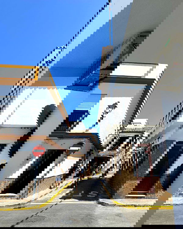 shanikaneko image ~ Altpins