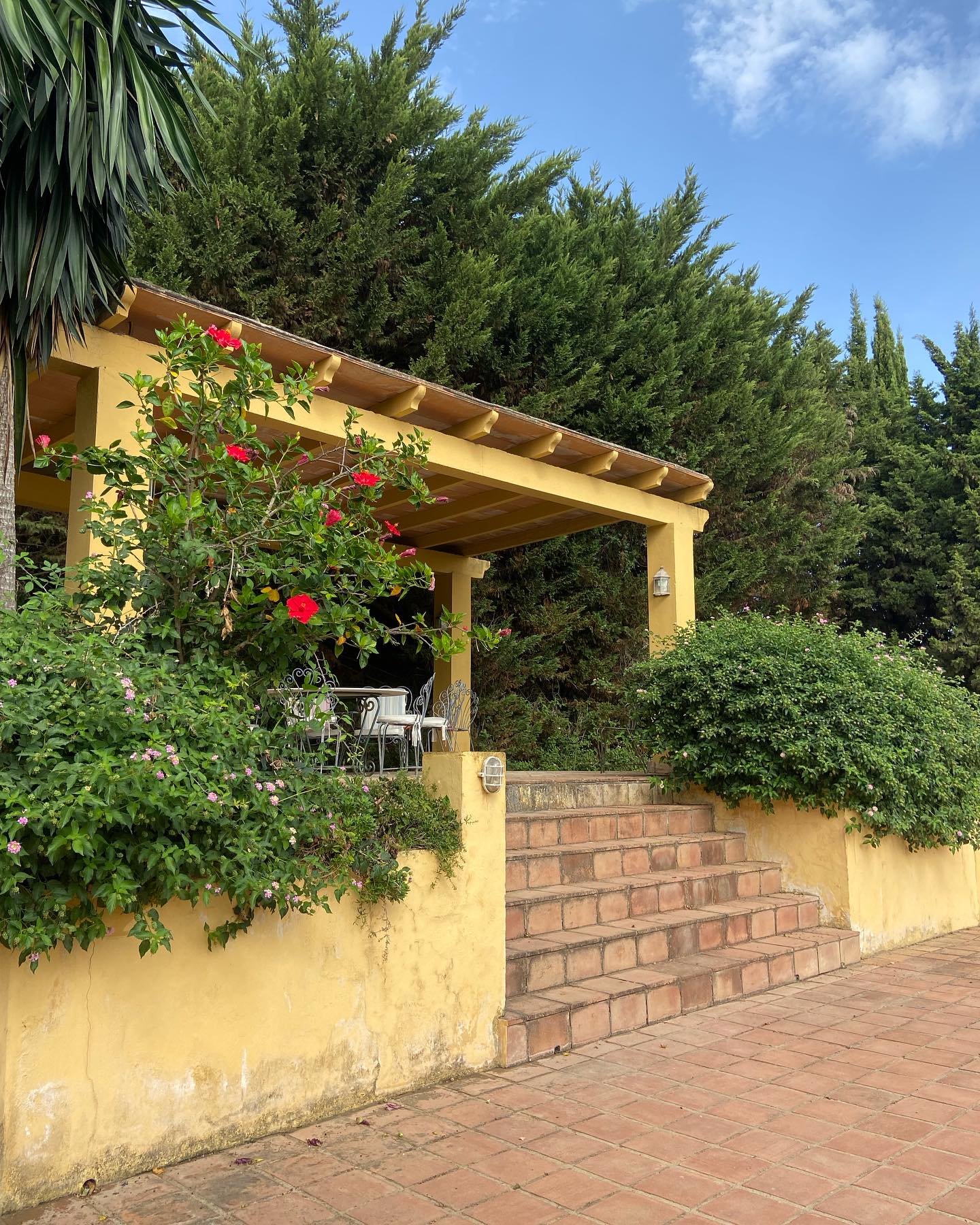 shanikaneko instagram image archive image