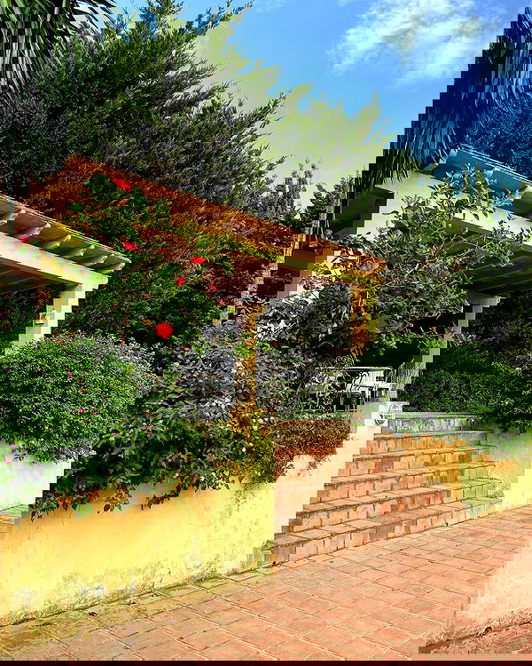 shanikaneko image ~ Altpins