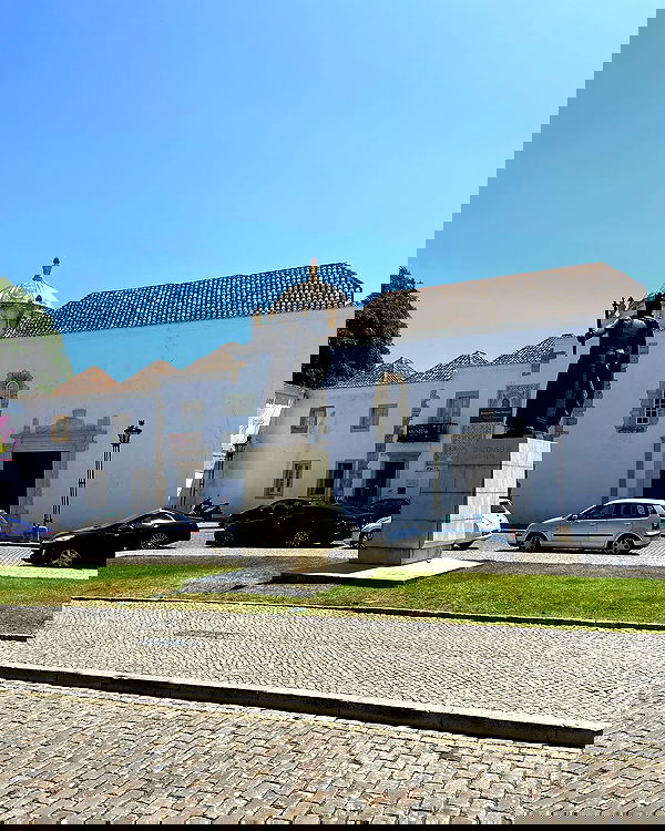 shanikaneko image ~ Altpins