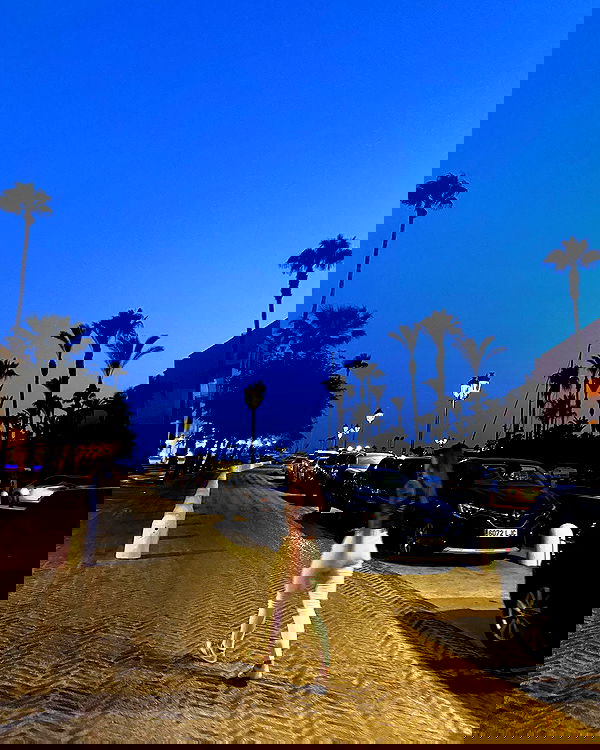 shanikaneko image ~ Altpins