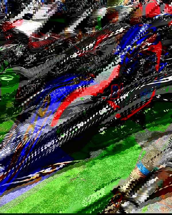 shanikaneko image ~ Altpins