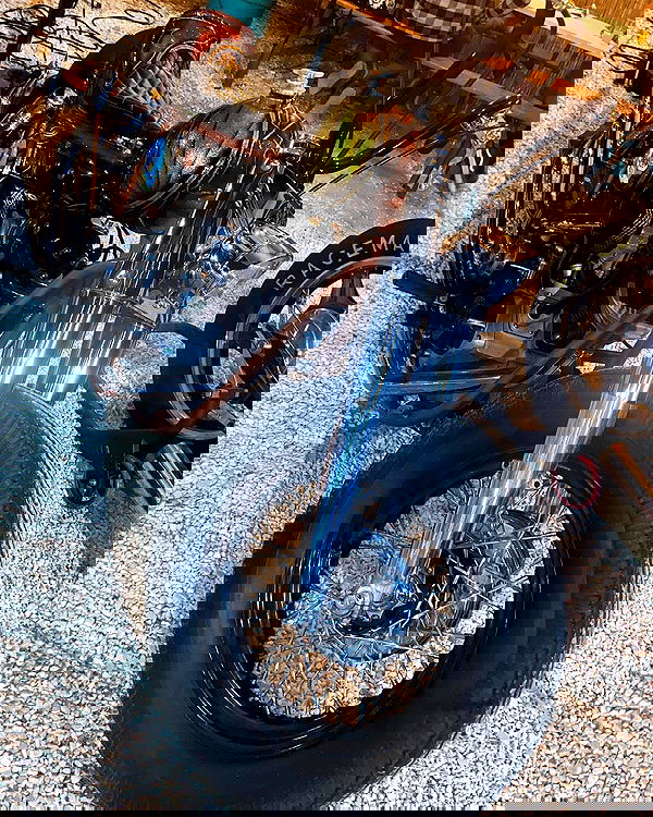 shanikaneko image ~ Altpins