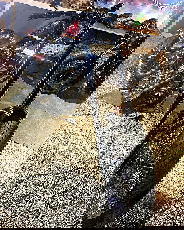 shanikaneko image ~ Altpins