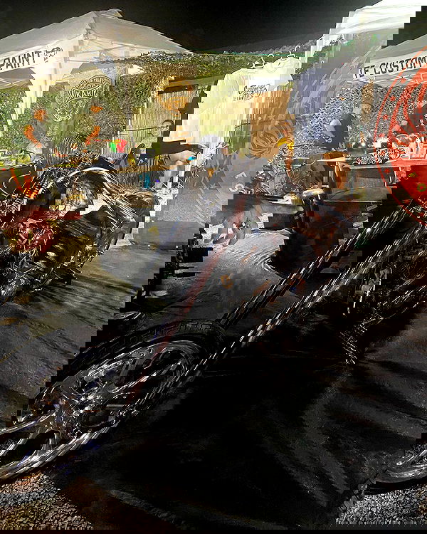 shanikaneko image ~ Altpins