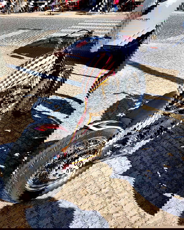 shanikaneko image ~ Altpins