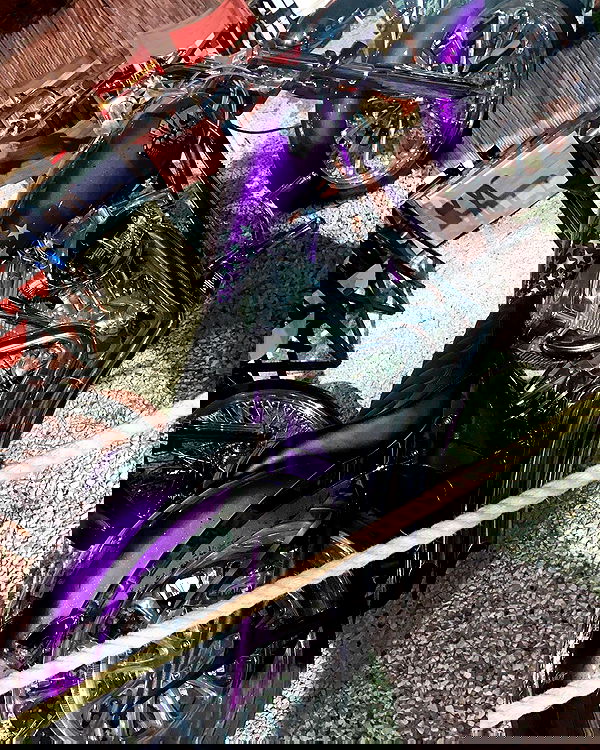 shanikaneko image ~ Altpins