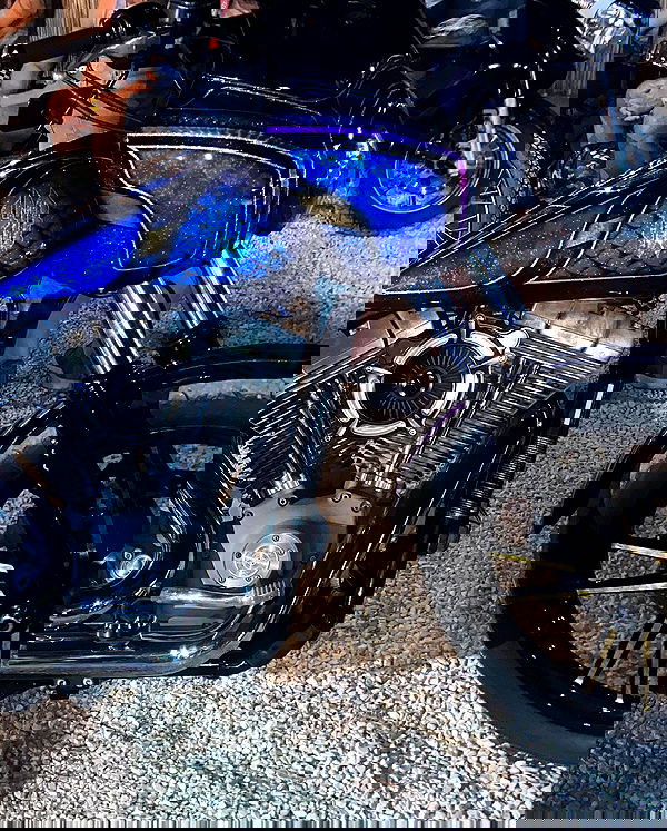 shanikaneko image ~ Altpins