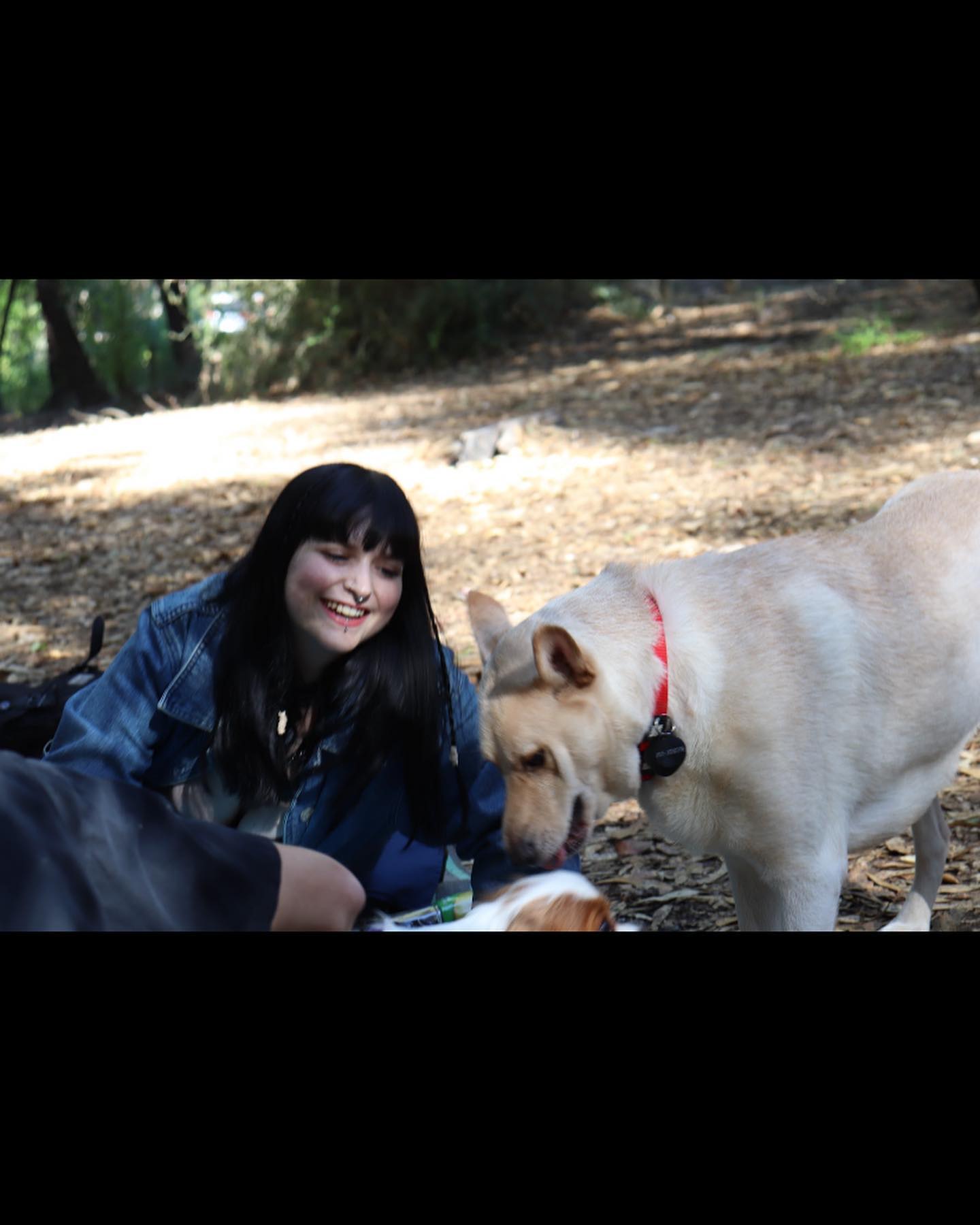 shanikaneko instagram image archive image