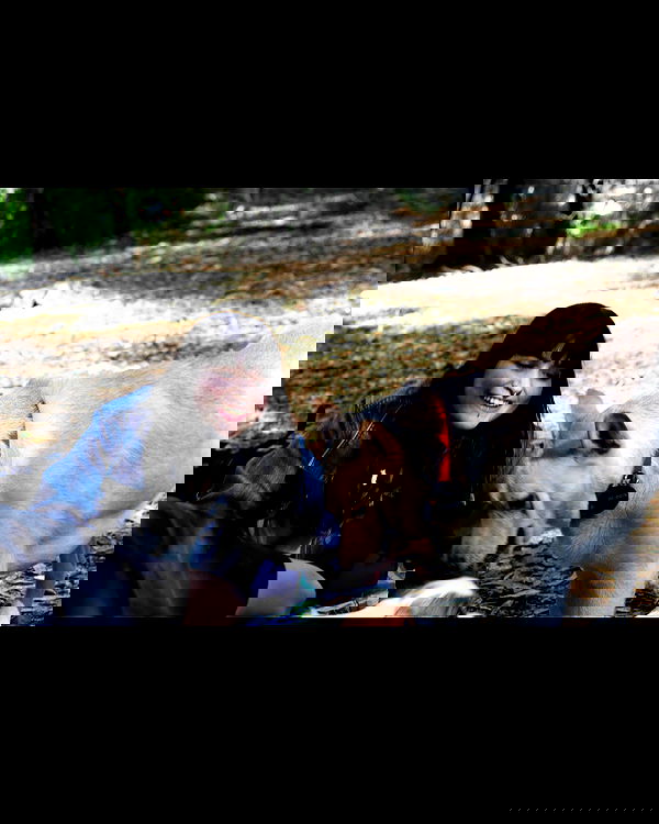 shanikaneko image ~ Altpins