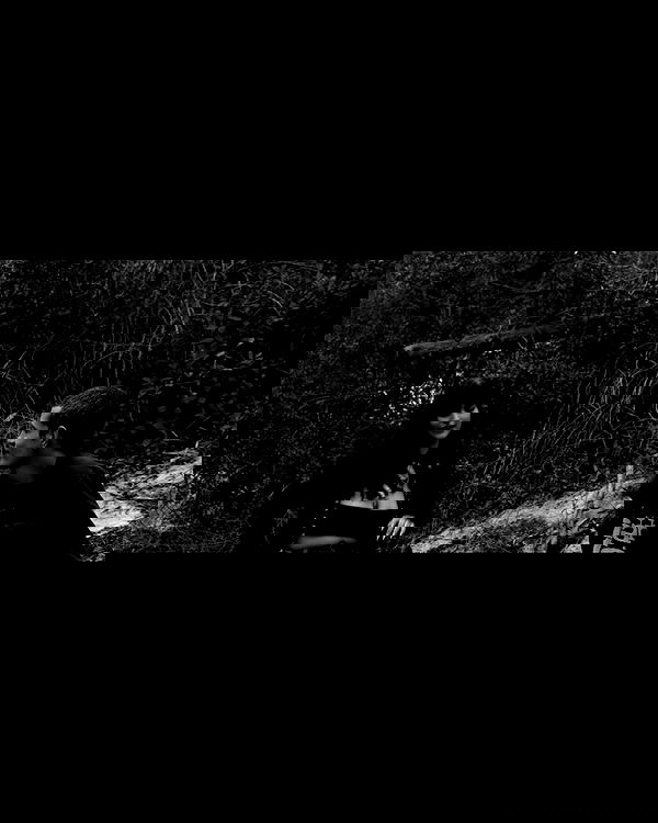 shanikaneko image ~ Altpins