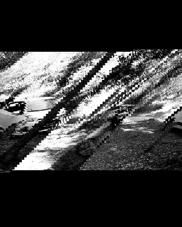 shanikaneko image ~ Altpins