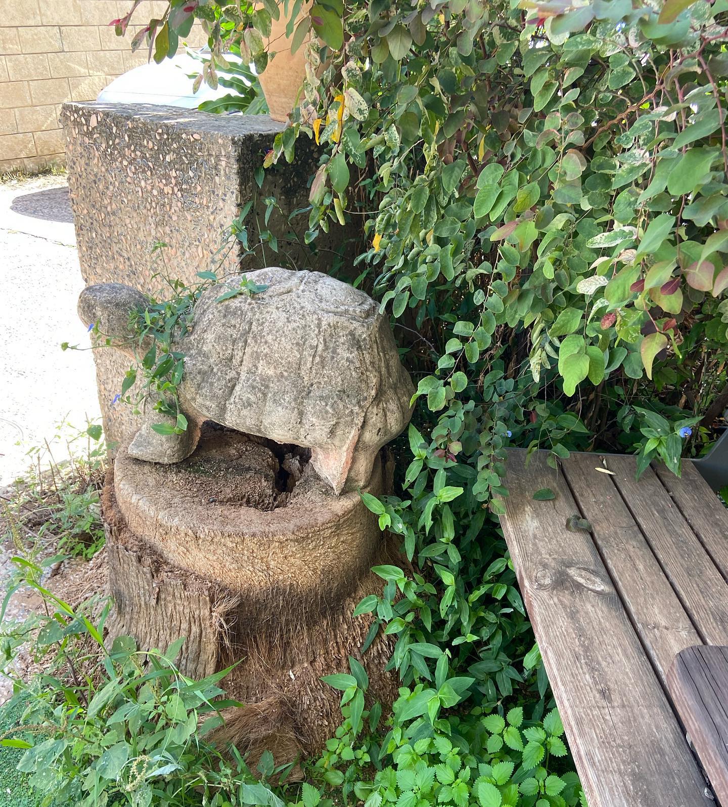 shanikaneko instagram image archive image