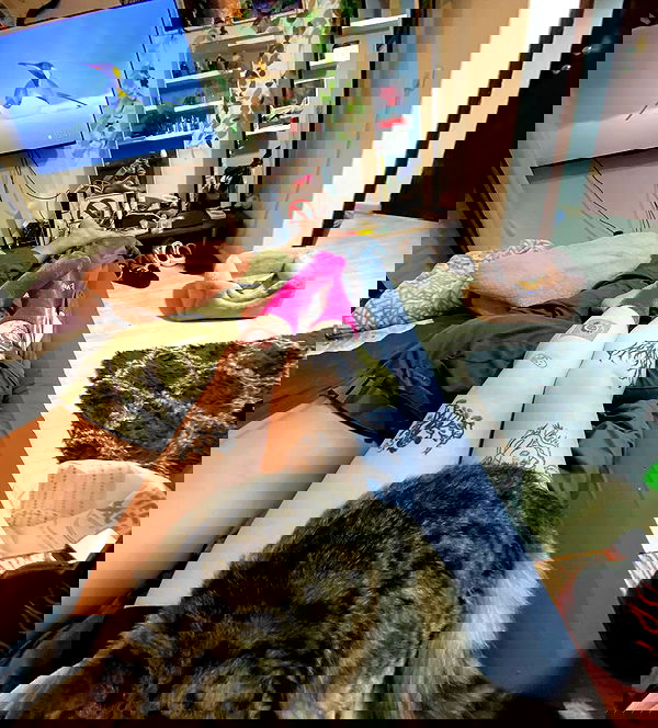 shanikaneko image ~ Altpins