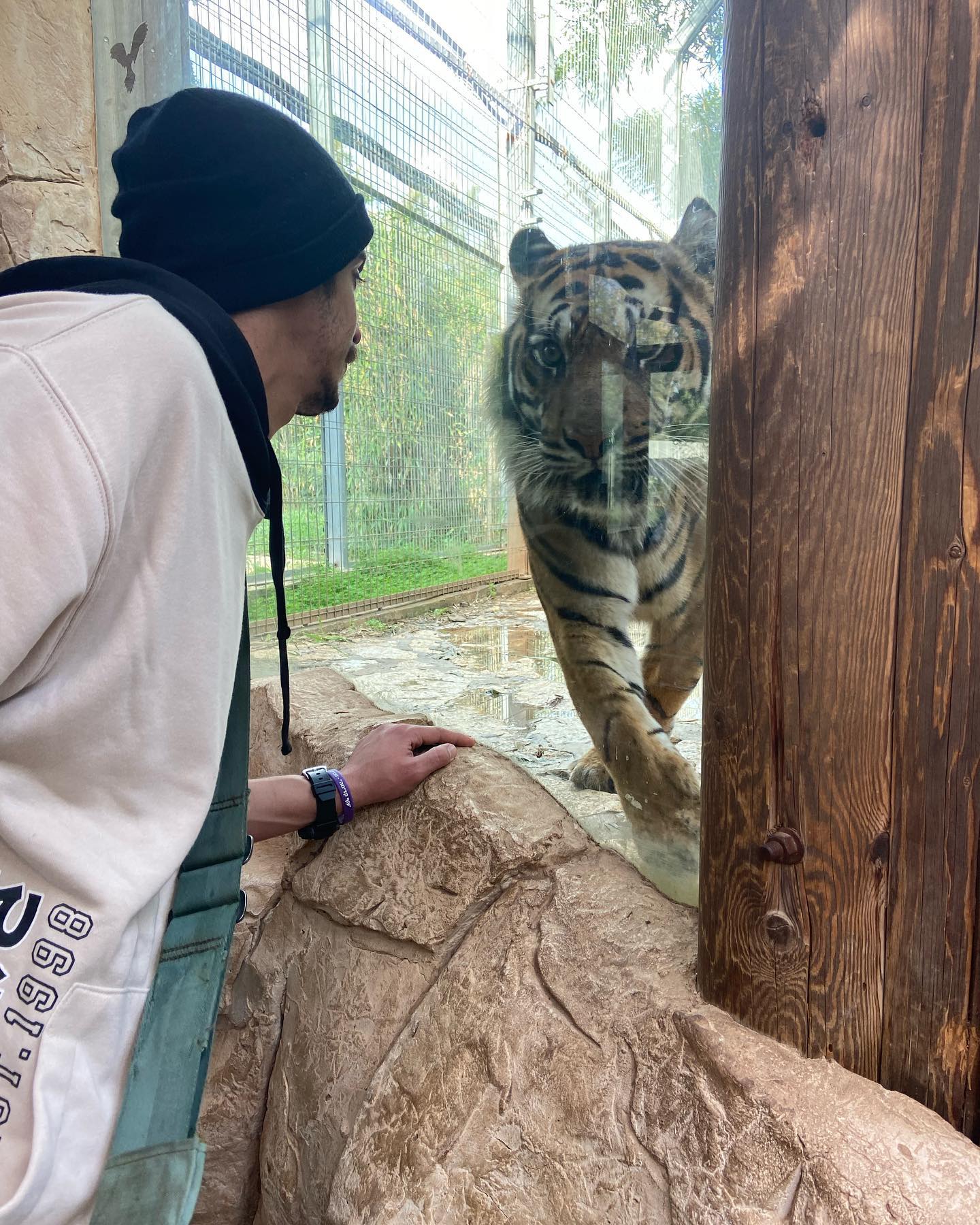 shanikaneko instagram image archive image