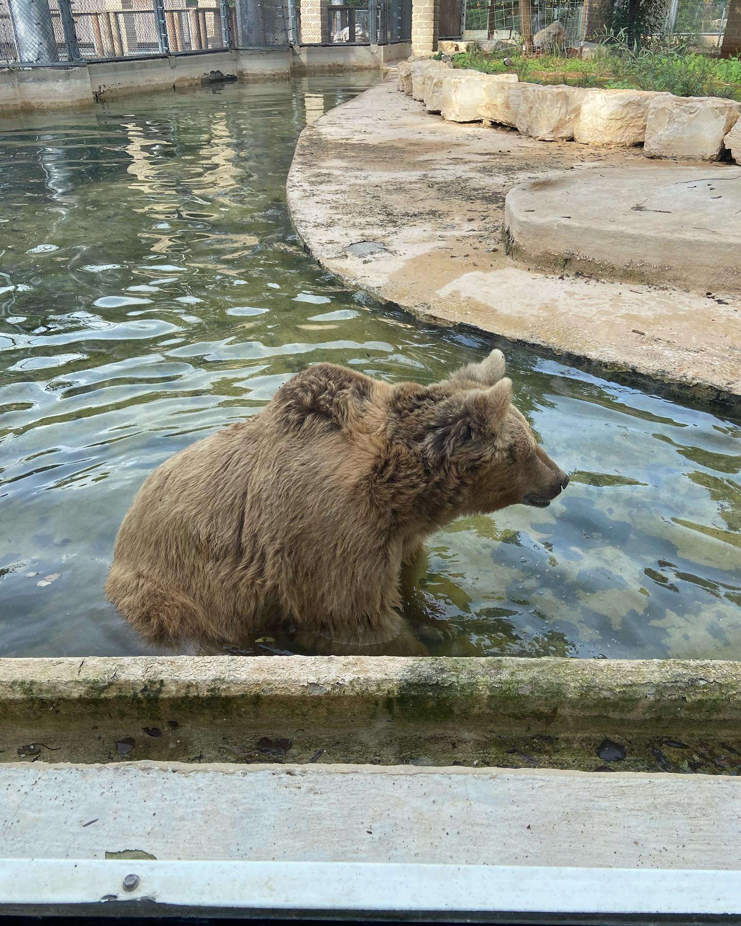 shanikaneko instagram image archive image