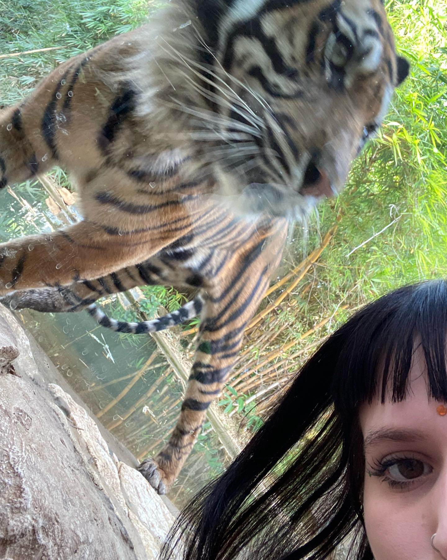 shanikaneko instagram image archive image