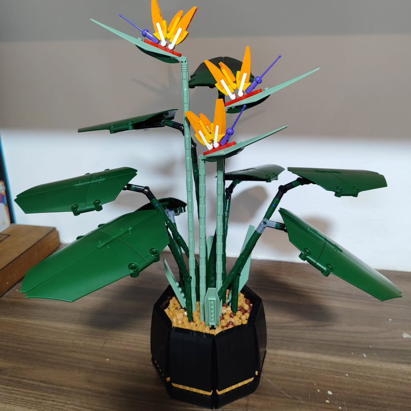 shanikaneko instagram image archive image