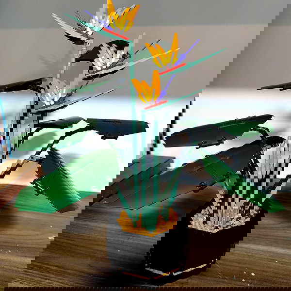 shanikaneko image ~ Altpins