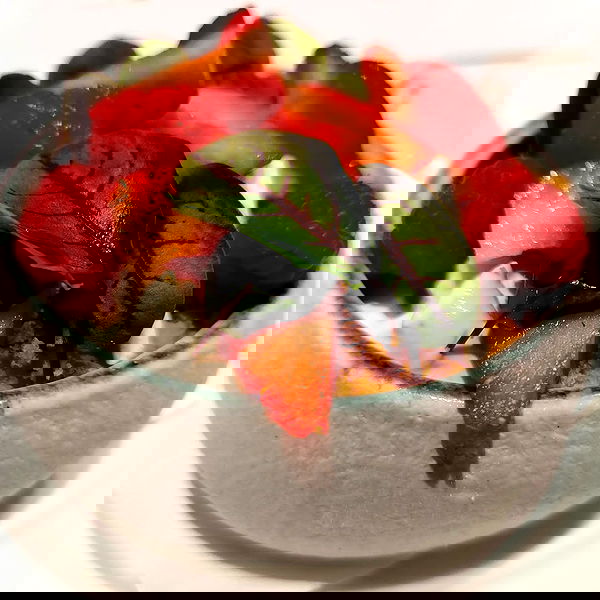 shanikaneko image ~ Altpins