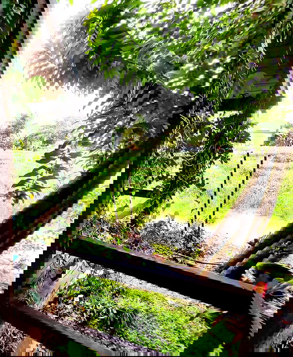 shanikaneko image ~ Altpins