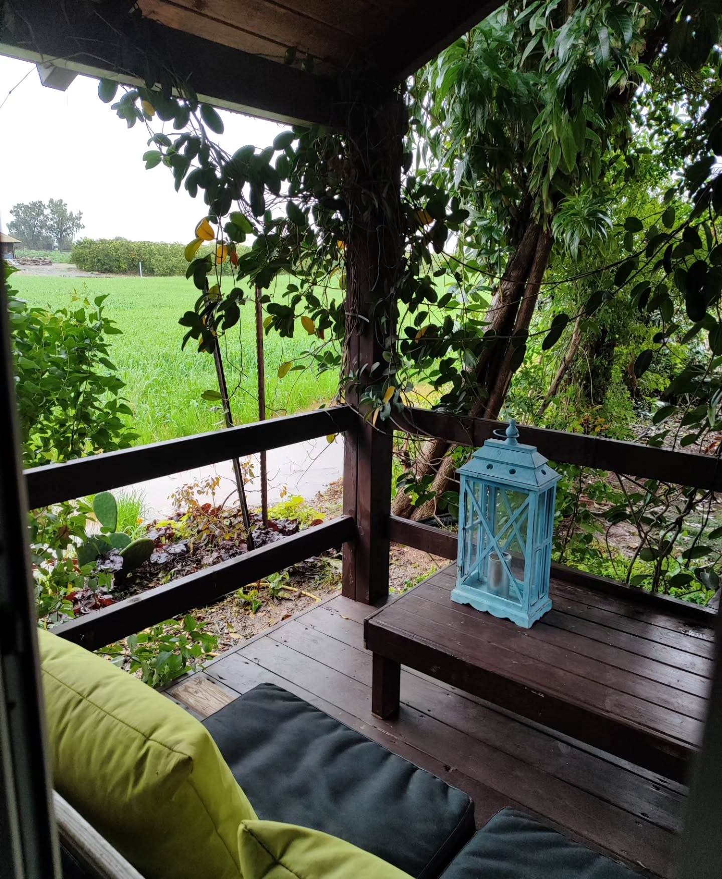 shanikaneko instagram image archive image