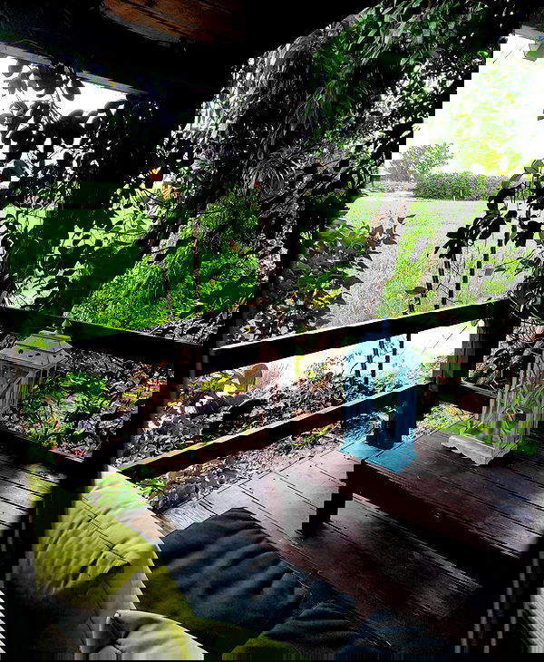 shanikaneko image ~ Altpins