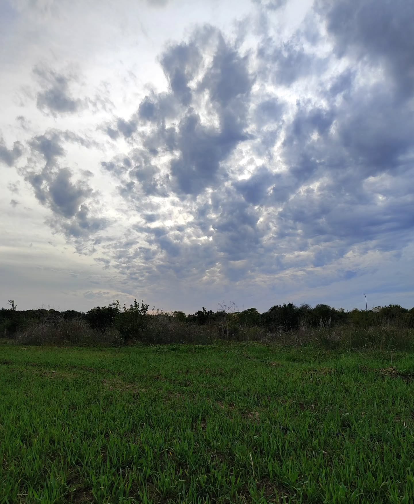 shanikaneko instagram image archive image