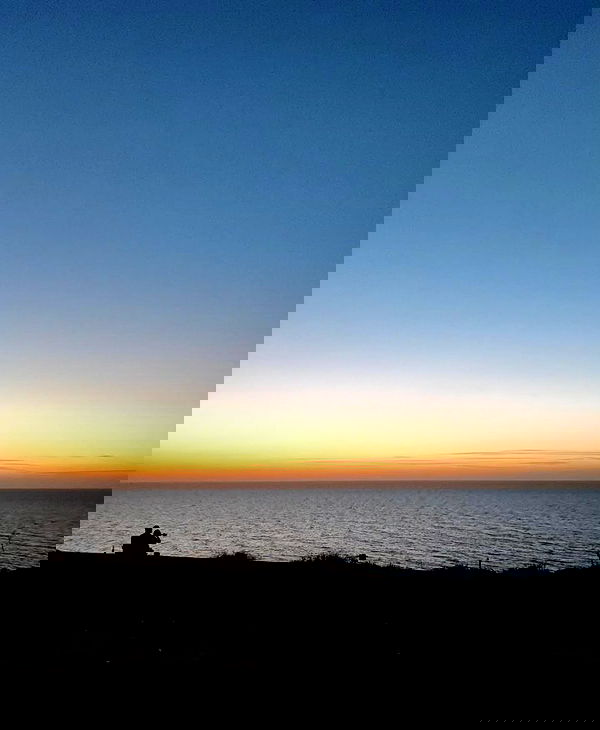 shanikaneko image ~ Altpins