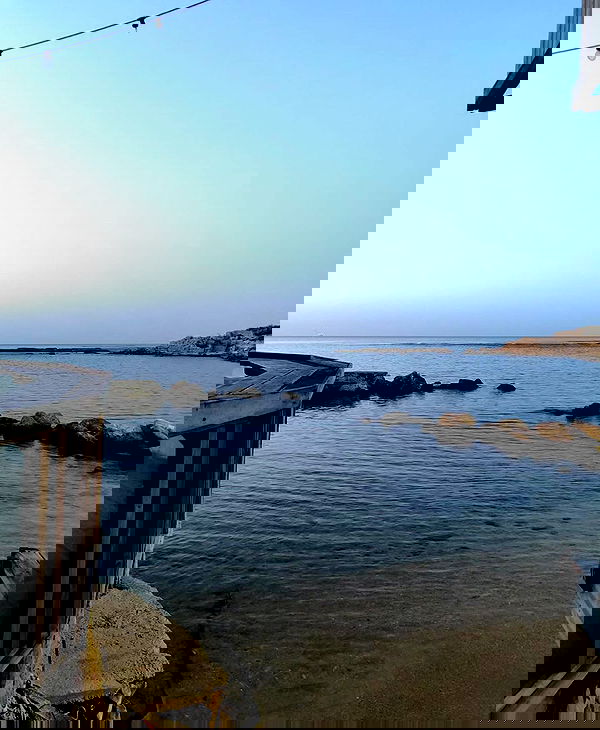 shanikaneko image ~ Altpins