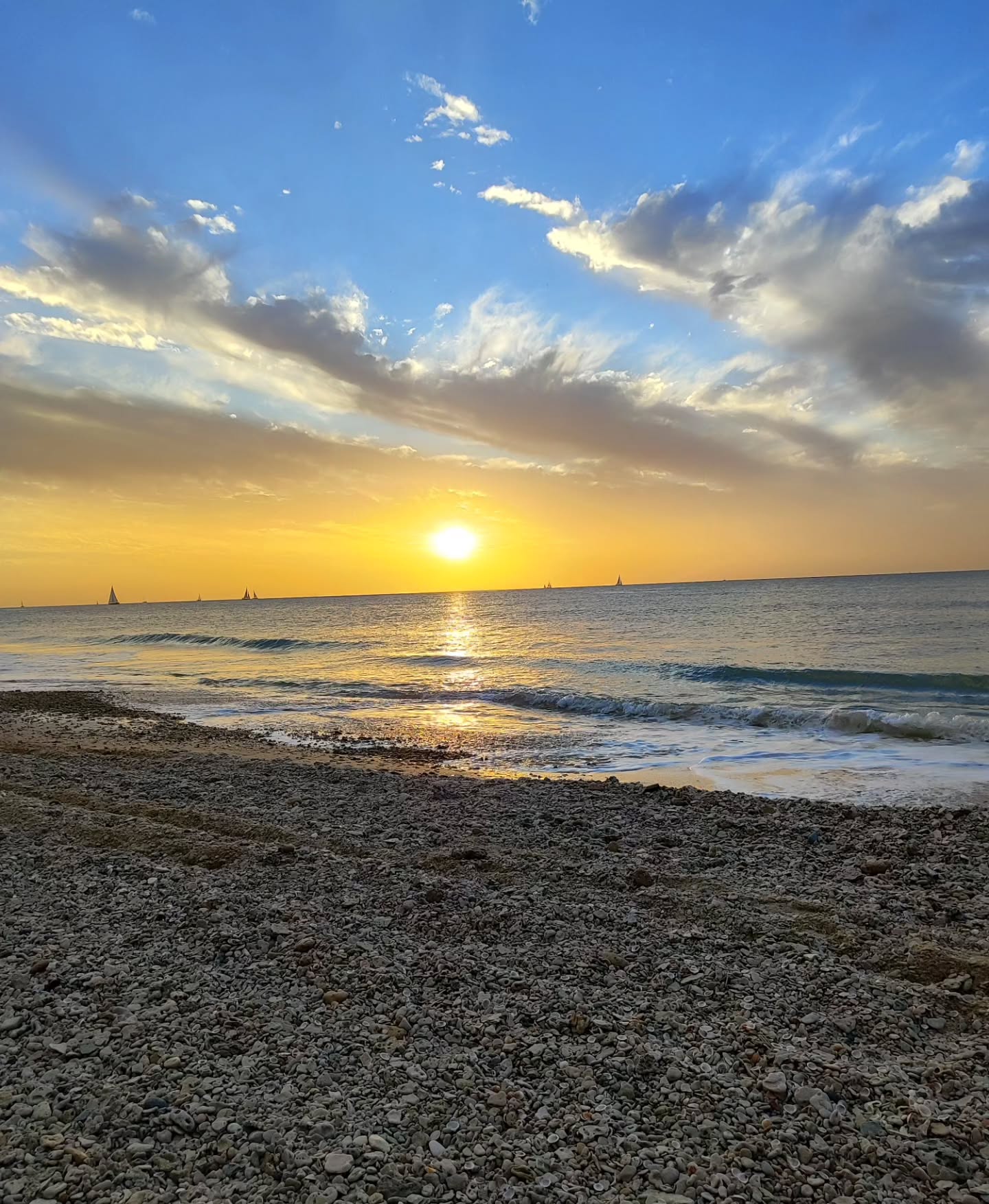 shanikaneko instagram image archive image