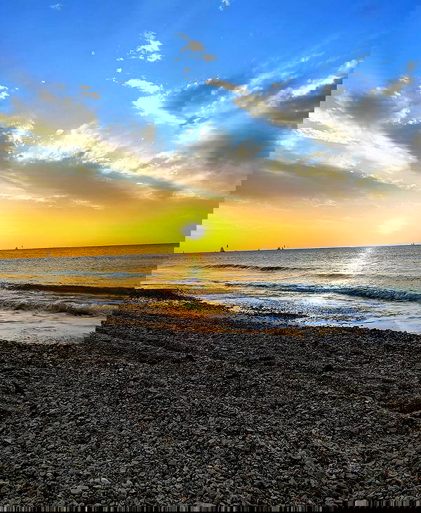 shanikaneko image ~ Altpins