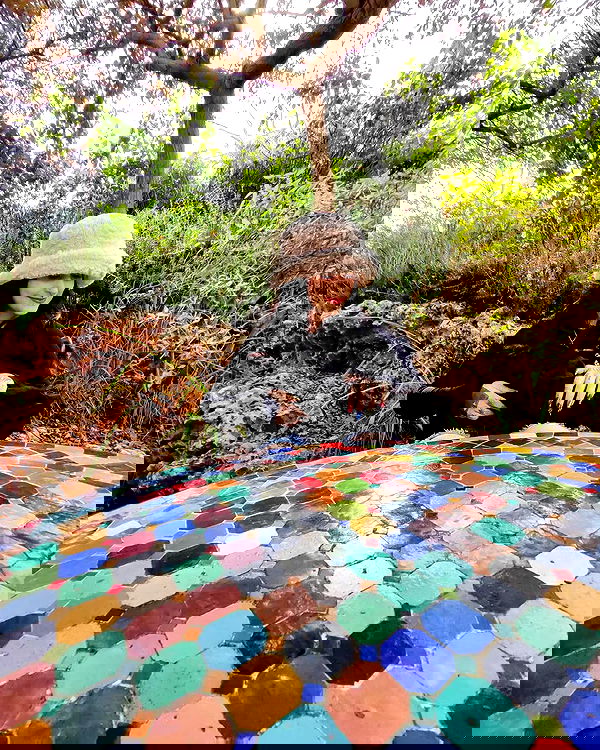 shanikaneko image ~ Altpins