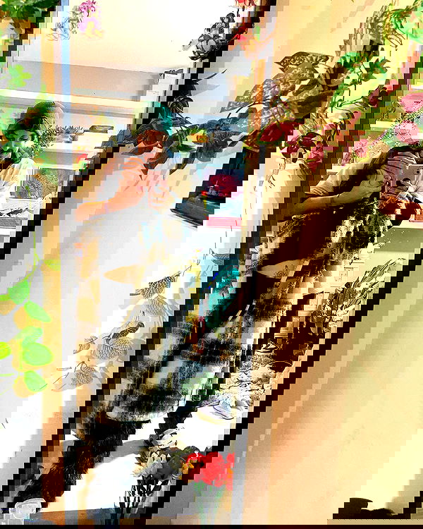 shanikaneko image ~ Altpins