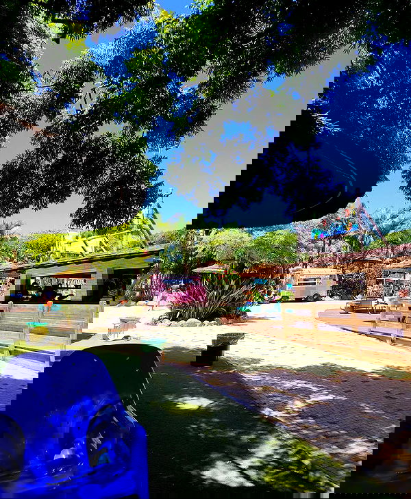 shanikaneko image ~ Altpins