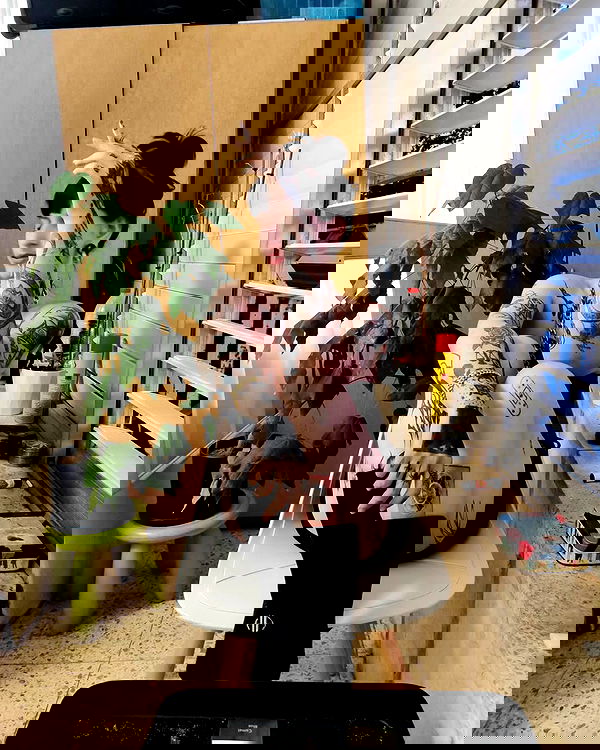 shanikaneko image ~ Altpins