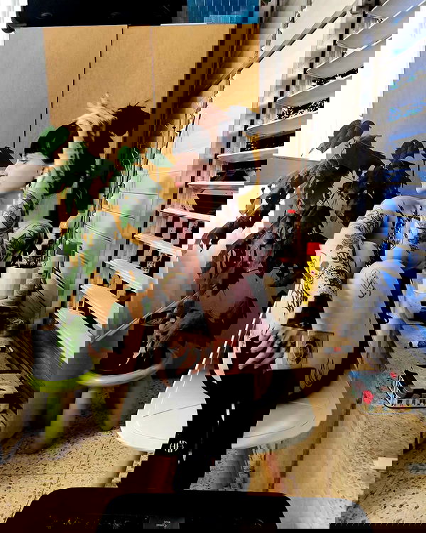 shanikaneko image ~ Altpins