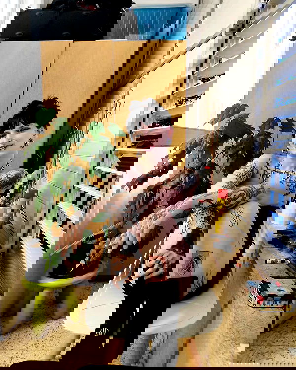 shanikaneko image ~ Altpins