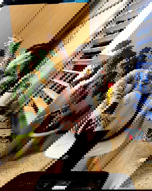 shanikaneko image ~ Altpins