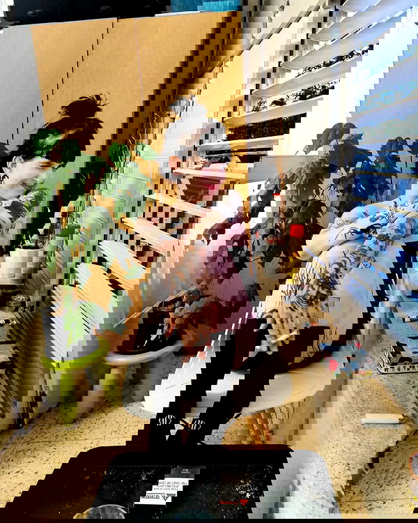 shanikaneko image ~ Altpins