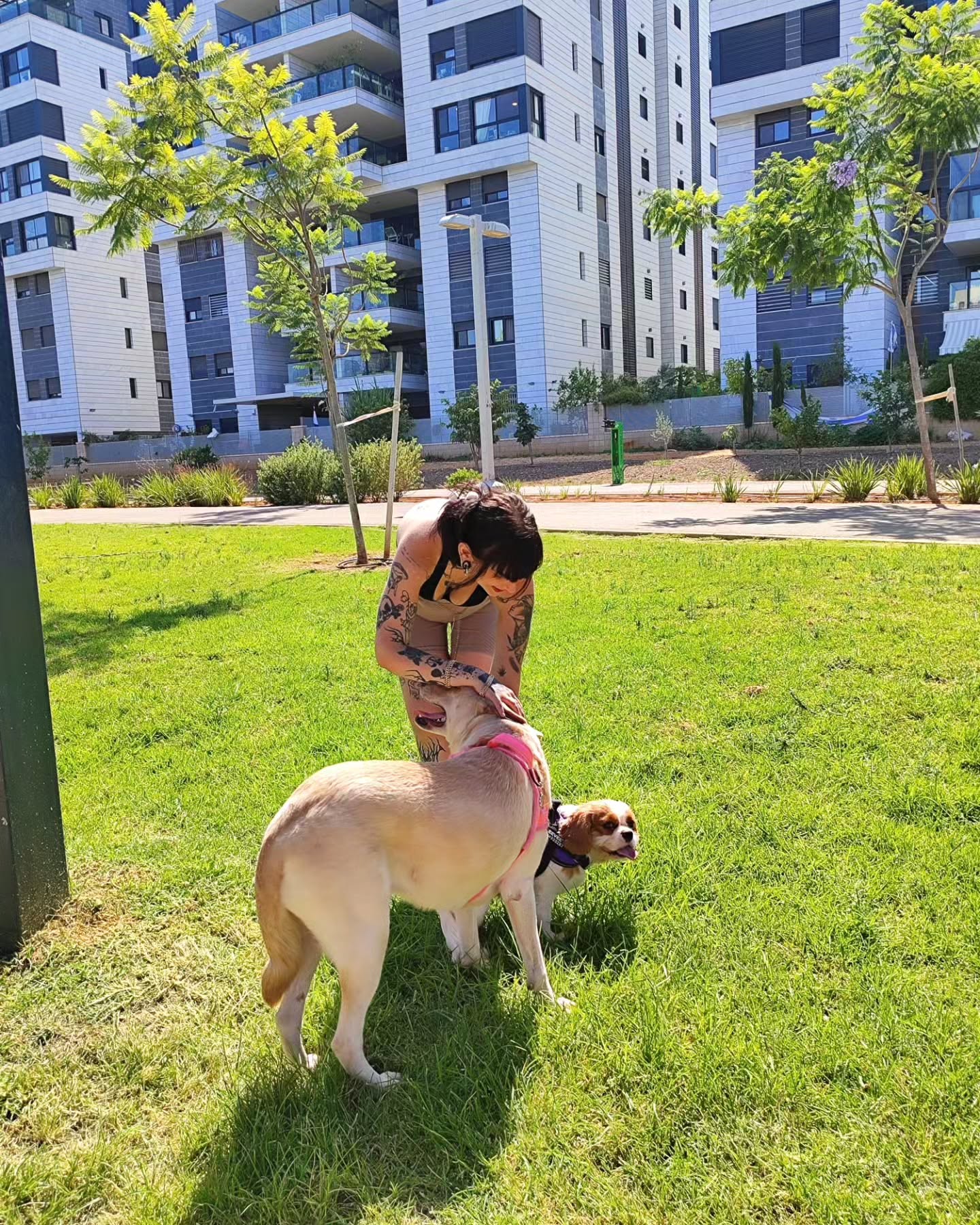 shanikaneko instagram image archive image