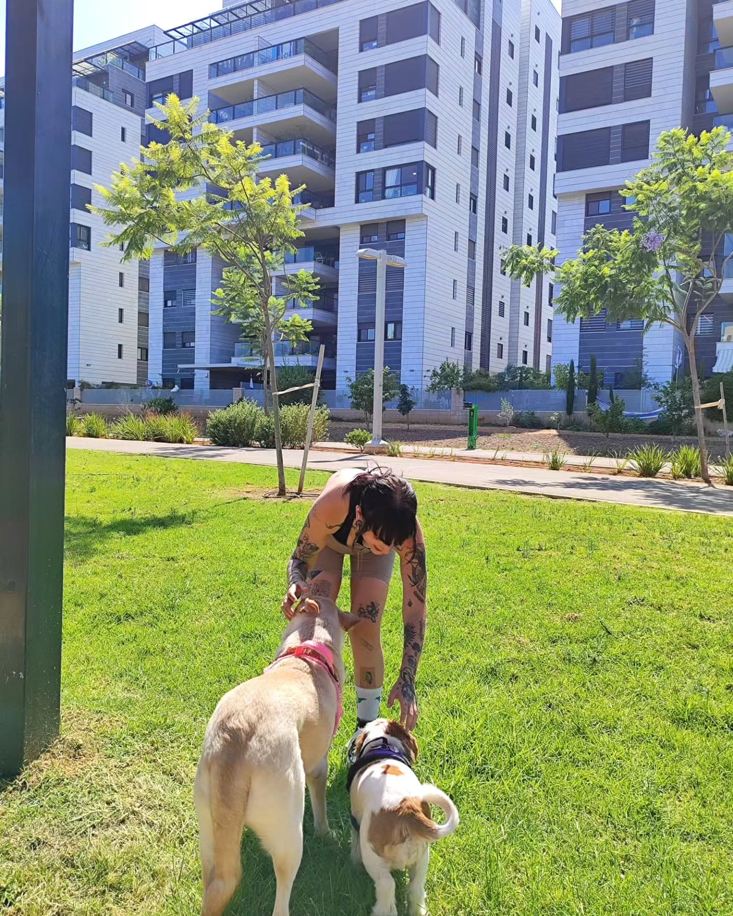 shanikaneko instagram image archive image