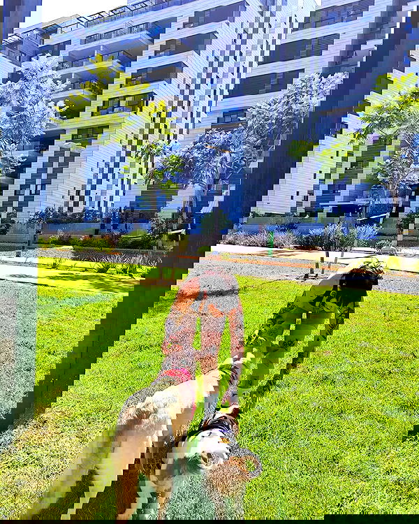 shanikaneko image ~ Altpins