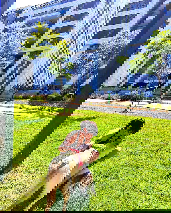 shanikaneko image ~ Altpins