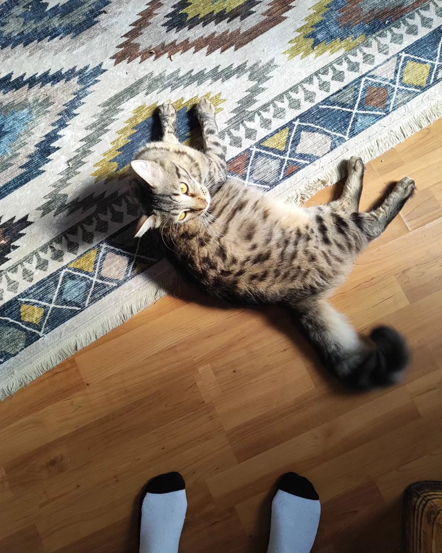 shanikaneko instagram image archive image