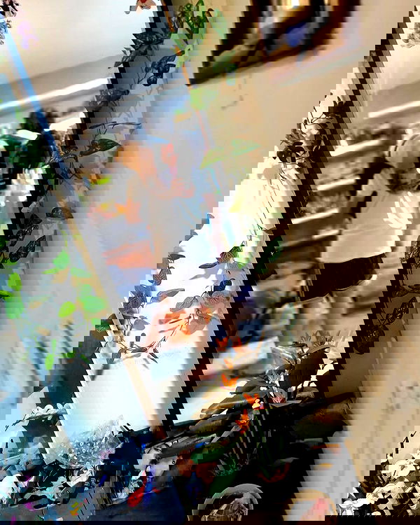 shanikaneko image ~ Altpins